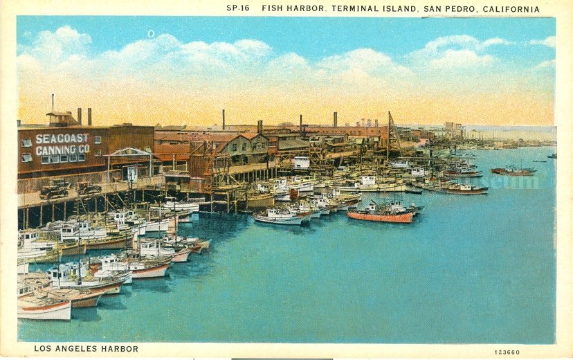 Fish Harbor Postcard