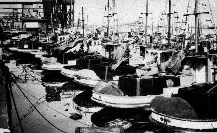 Fishing Fleet at Los Angeles Harbor
