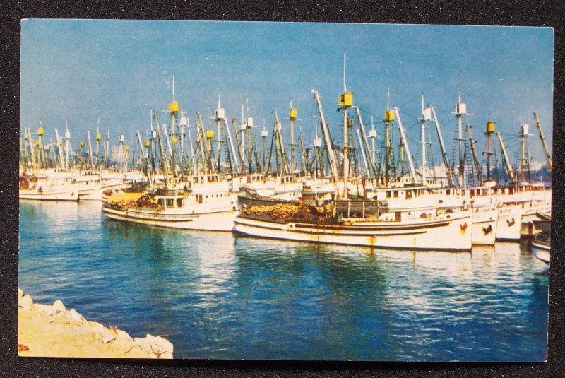 LA Harbor Fishing Fleet